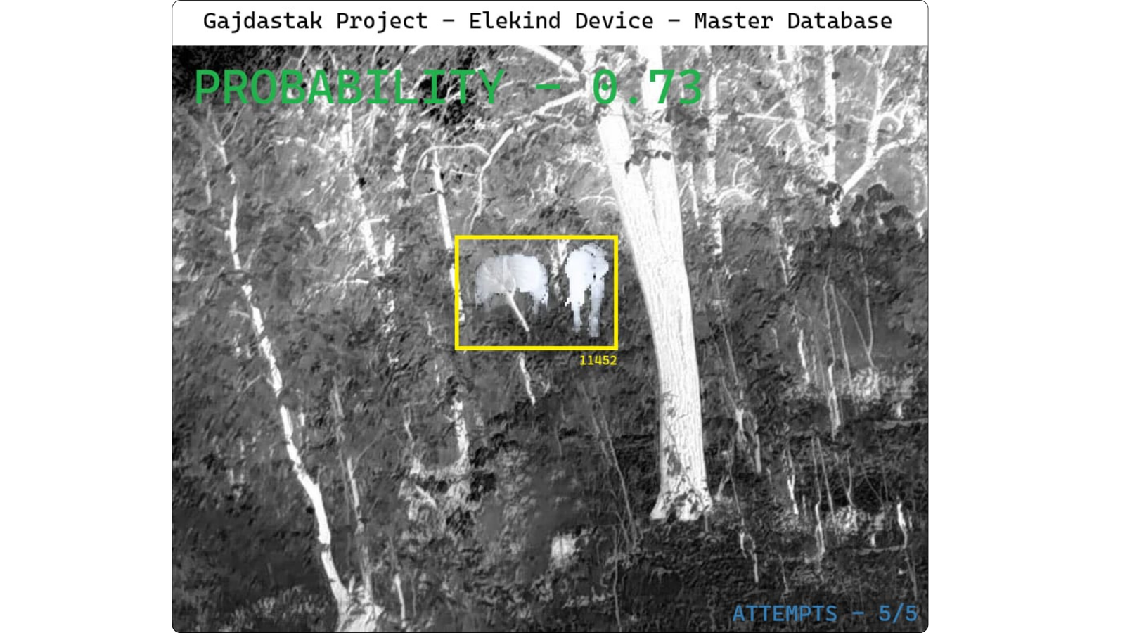 Thermal AI detection -- elephant identified at Bangursia