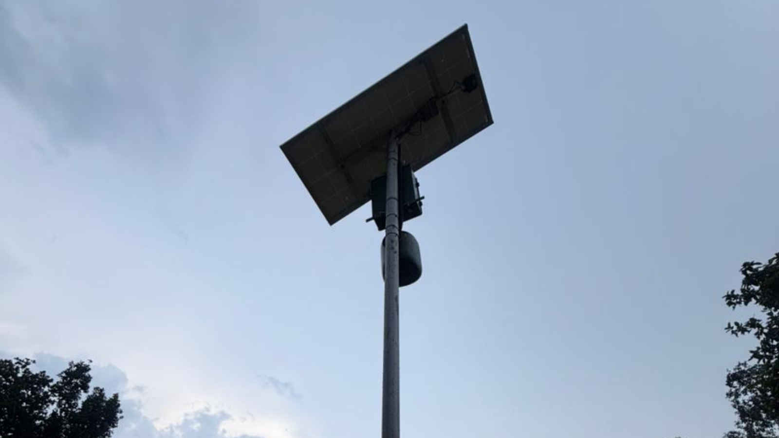 Elephant moving through landscape where human habitation meets forest corridors