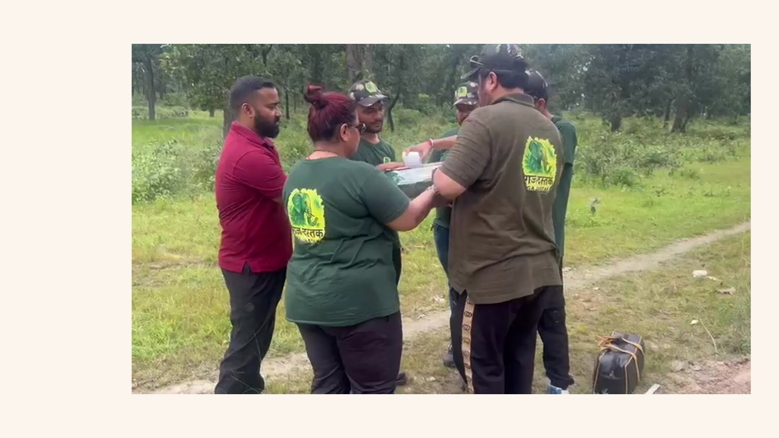 Alternate thermal detection view