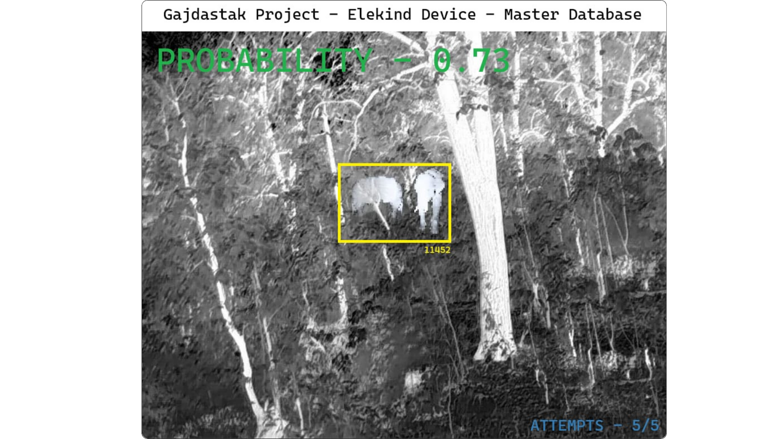 Thermal detection screenshot showing elephant detection