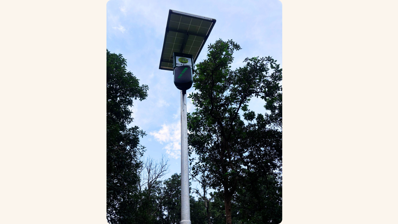 Pole-mounted unit with solar panel under forest canopy