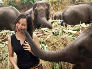 Elephant communication